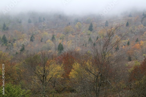 Fog approaches the lower valley in the wilderness 