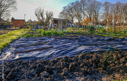 Obraz na plátně View of allotments in winter.