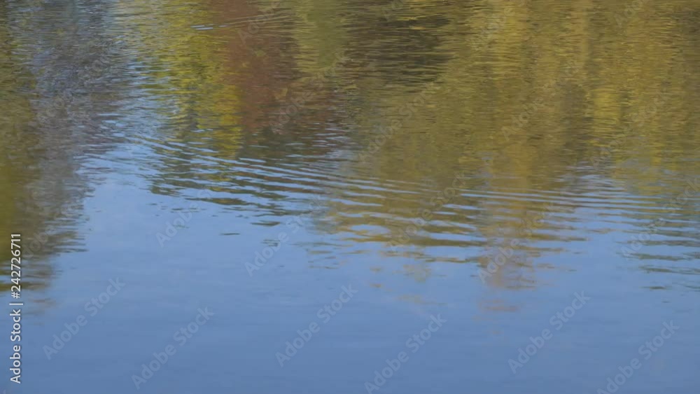 reflection of foliage colors on the water surface in the river. reflection of foliage colors on the water surface in the river.