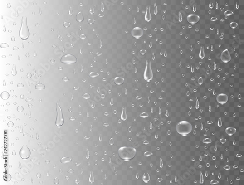 Realistic water drops on transparent background. Rain drops or steam shower. Condensed pure droplets. Clear vapor bubbles on window glass surface. Vector illustration