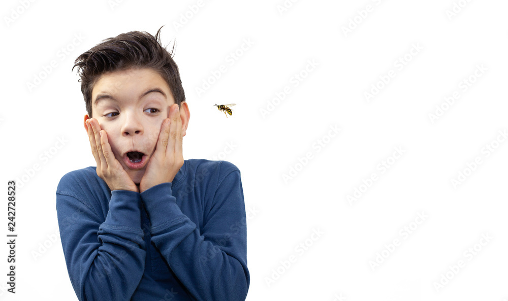 Junge erschrickt vor einer Wespe Junge erschrickt vor einer Wespe