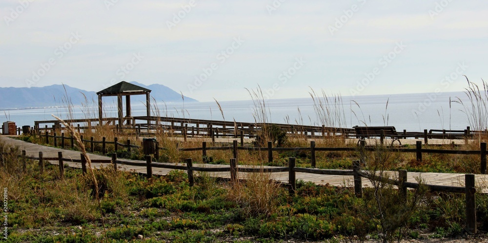 Fototapeta premium Wooden path on the beach