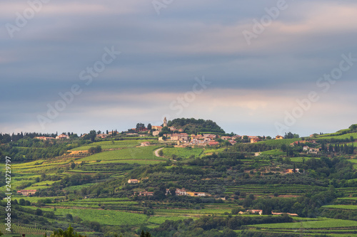 Traditional Italian village on a hill surrounded by vineyards