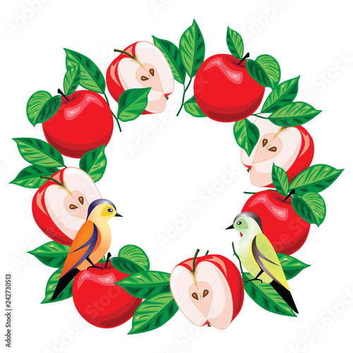 whole apples and their halves are arranged in a circle. Juicy and colorful fruit background with apples and birds