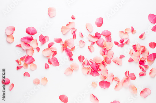 Valentine's Day. Rose flowers petals on white background. Valentines day background. Flat lay, top view, copy space.