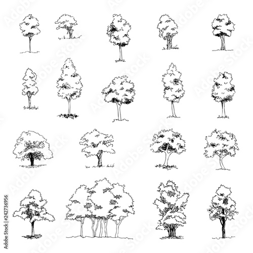 Set of hand drawn architect trees, vector sketch, architectural illustration