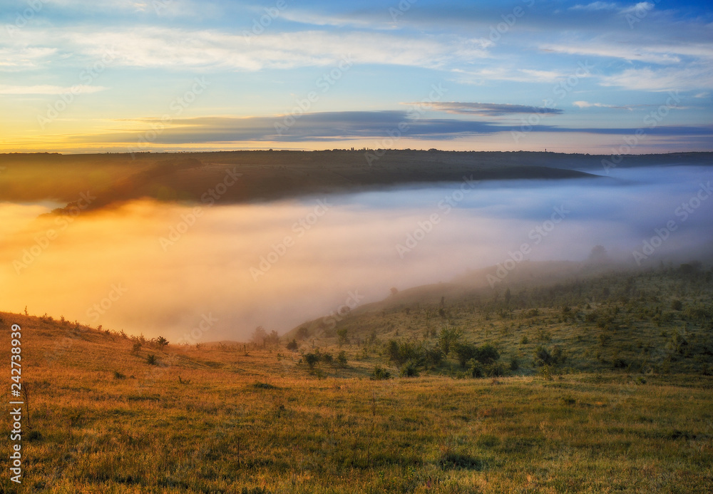 Fototapeta premium foggy canyon of a picturesque river. spring dawn