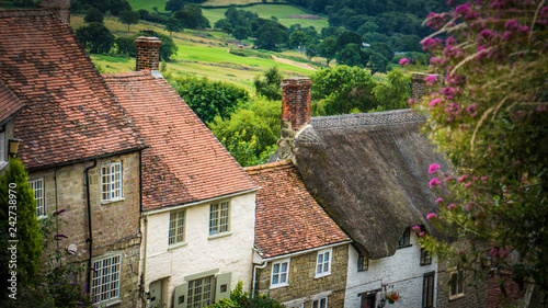 Old English limestone houses with thatched roofs with green fields countryside in the background. Gold Hill houses on a cloudy day behind flowers in Shaftesbury, Dorset, UK. Photo with selective focus