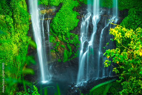 Fototapeta Naklejka Na Ścianę i Meble -  Tropical Sekumpul Waterfalls in Bali island, Indonesia