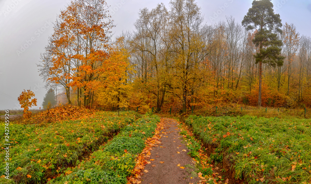 Fototapeta premium Upland Park is a landscape Park occupying the Orekhovaya mountain (174.2 m) at the Duderhof heights in Krasnoselsky district of St. Petersburg.