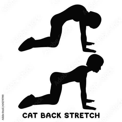 Cat back stretch. Backward camel stretch. Sport exersice. Silhouettes of woman doing exercise. Workout, training.
