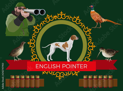 Hunting gun dog vector