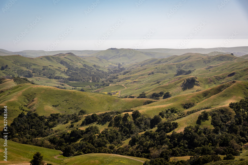 Northern California Hills