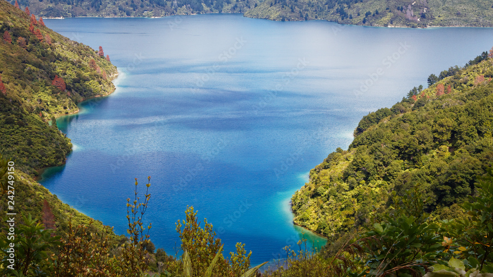 A typical bay in the Marlborough Sounds, New Zealand