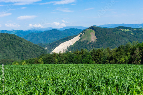 Cornfield with wonderful view over many hills
