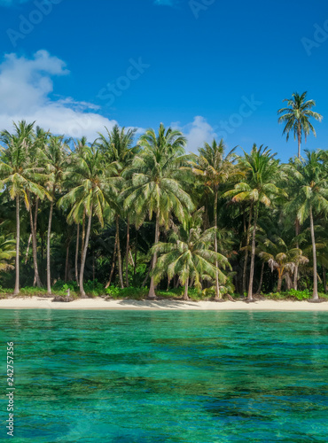 Beautiful palm-fringed beach of an uninhabited tropical island