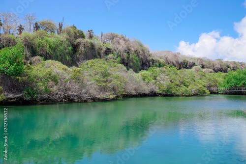 Laguna de las Ninfas  a saltwater lagoon in the town of Puerto Ayora  on Santa Cruz island in the Galapagos Islands.