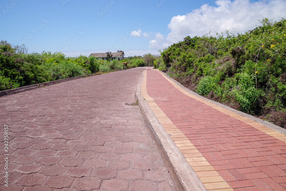 Outdoor view of stoned path located in Galapagos Outdoor view of stoned path located in Galapagos
