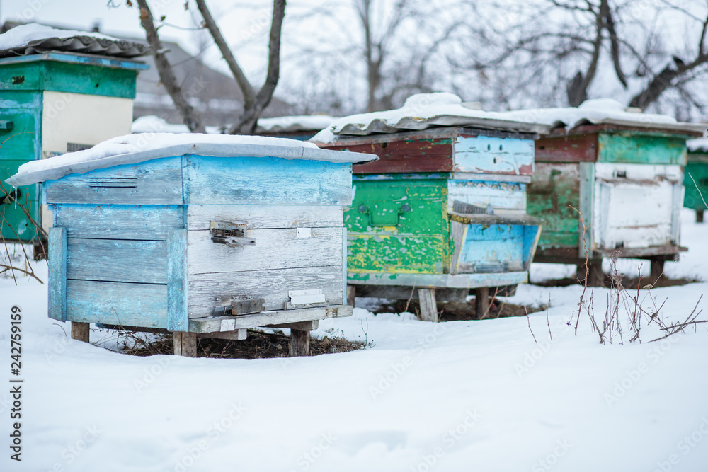 Naklejka premium Group beehives in the winter garden with snow covering.
