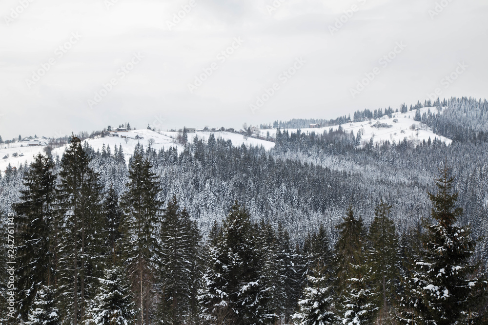 Winter Carpathian landscape in Yaremche 