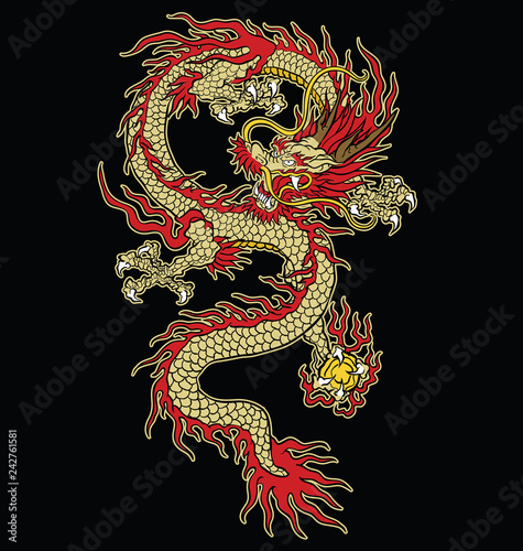 Asian tattoo dragon vector design in color. 