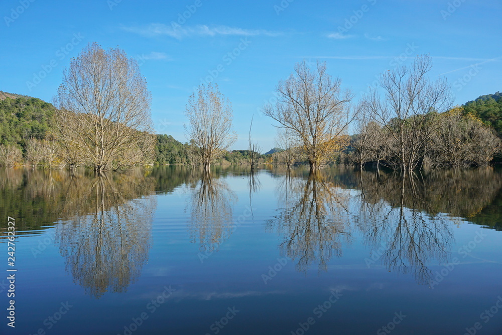 Flooded trees standing in water in a calm lake with reflections on water surface, reservoir of Boadella, Girona, Alt Emporda, Catalonia, Spain