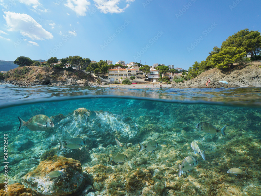 Spain coastline with sea breams fish underwater, les Tonyines beach in Llanca on the Costa Brava, split view half over and under water, Mediterranean sea, Catalonia