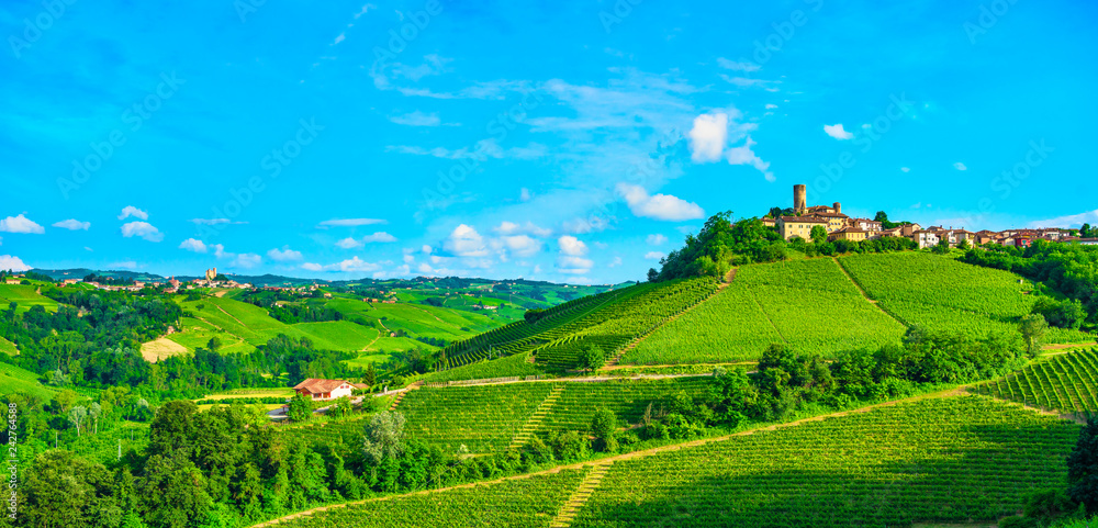 Fototapeta premium Langhe vineyards view, Castiglione Falletto and Serralunga d Alba, Piedmont, Italy Europe.