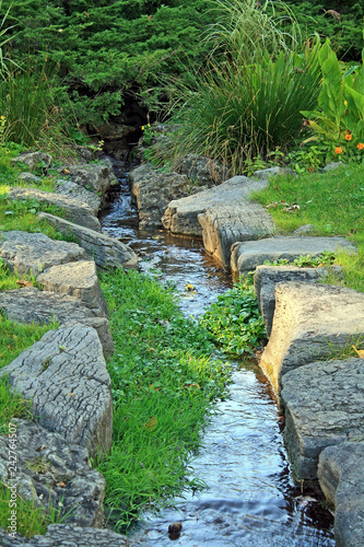 Obraz na plátně Rivulet in a Park