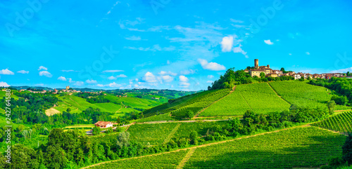 Langhe vineyards view  Castiglione Falletto and Serralunga d Alba  Piedmont  Italy Europe.