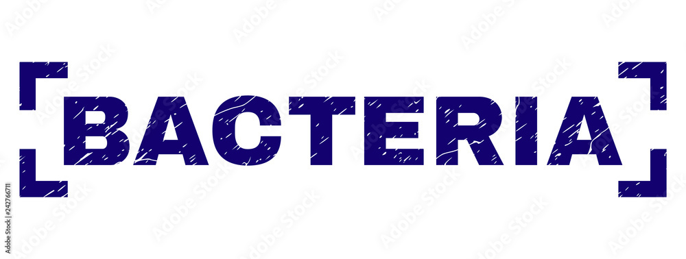 BACTERIA text seal watermark with corroded effect. Text title is placed inside corners. Blue vector rubber print of BACTERIA with retro texture. BACTERIA text seal watermark with corroded effect. Text title is placed inside corners. Blue vector rubber print of BACTERIA with retro texture.