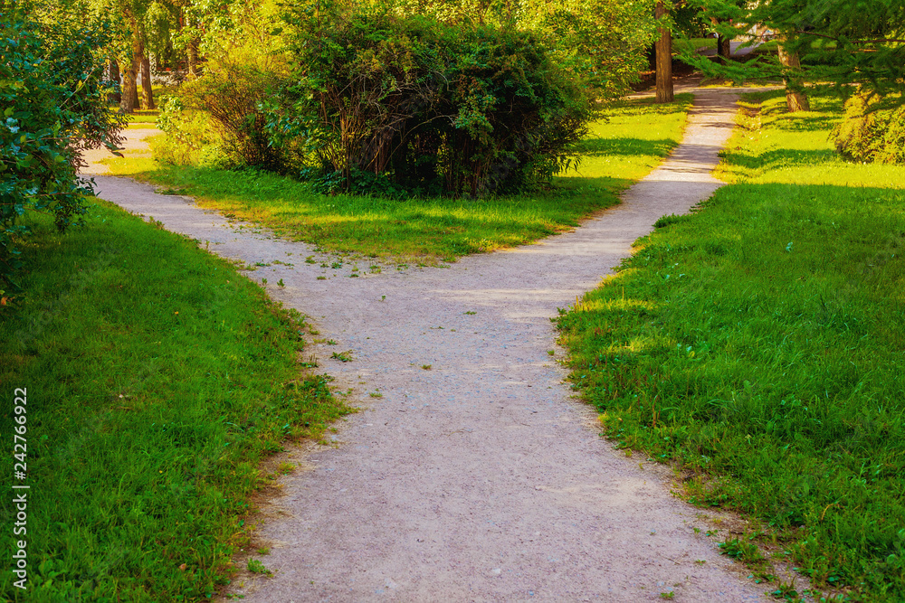 A wide walking trail splits into two narrow paths in the park. A wide walking trail splits into two narrow paths in the park.