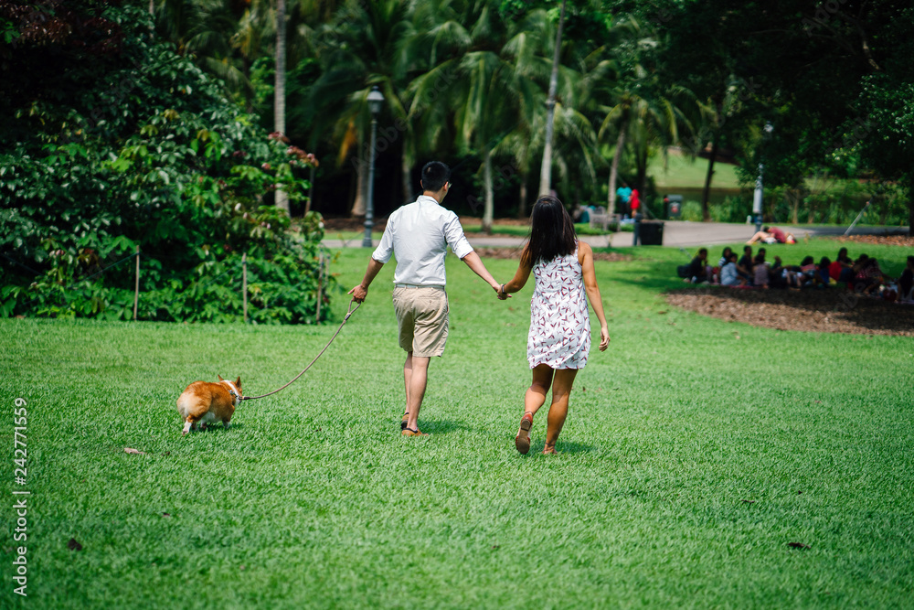 Portrait of a young Asian couple walking their corgi dog in the park during the day. The corgi is small and cute. 