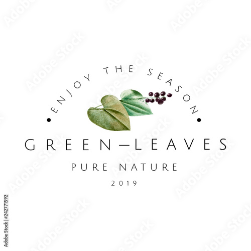 Green leaves logo design vector