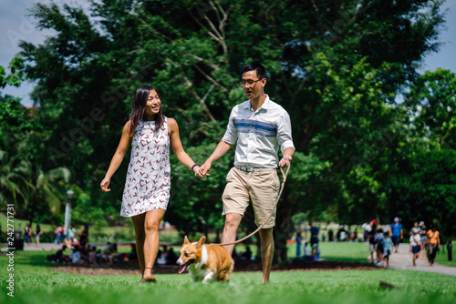 Portrait of a young Asian couple walking their corgi dog in the park during the day. The corgi is small and cute. 