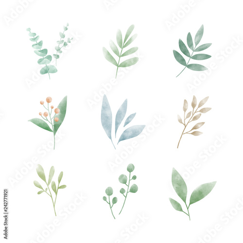 Set of watercolor leaves vectors