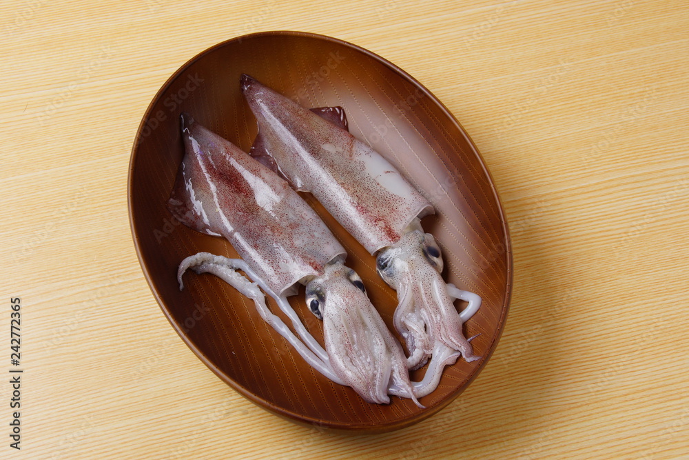 生スルメイカ Stock Photo Adobe Stock