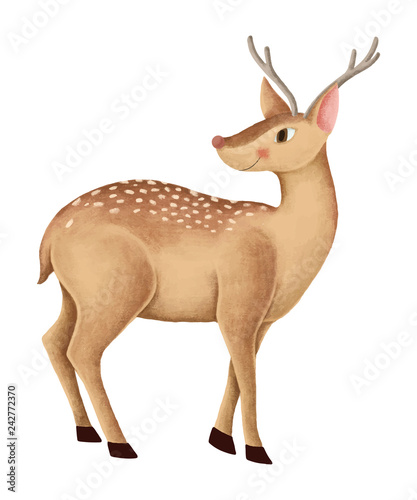 Hand-drawn cute fallow deer