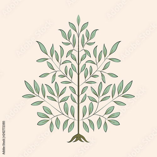 Vintage flourish ornament illustration