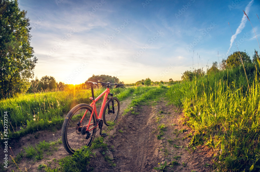Obraz premium Bicycle near the road in the field at sunset