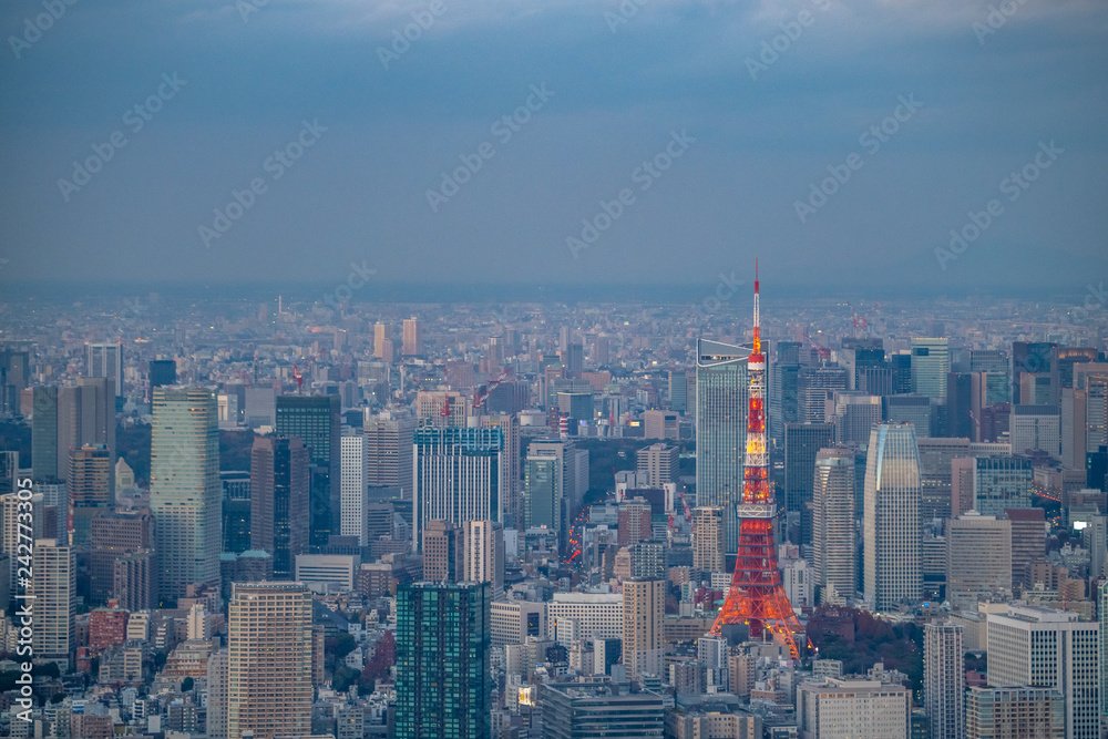 東京タワーと街並みの空撮