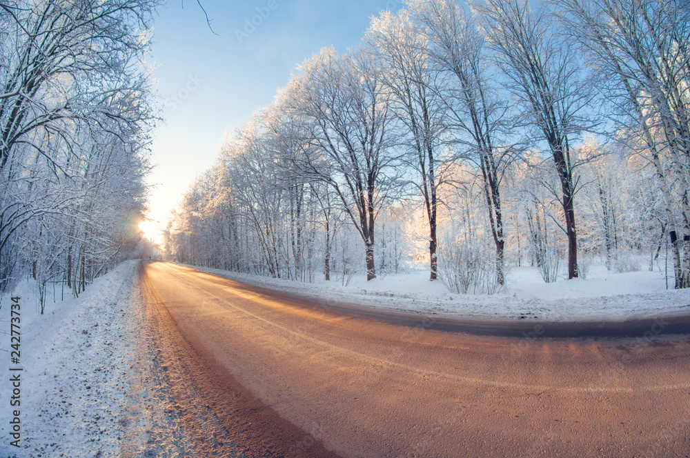 Winter road in park on sunny frosty day. distortion perspective fisheye lens view Winter road in park on sunny frosty day. distortion perspective fisheye lens view