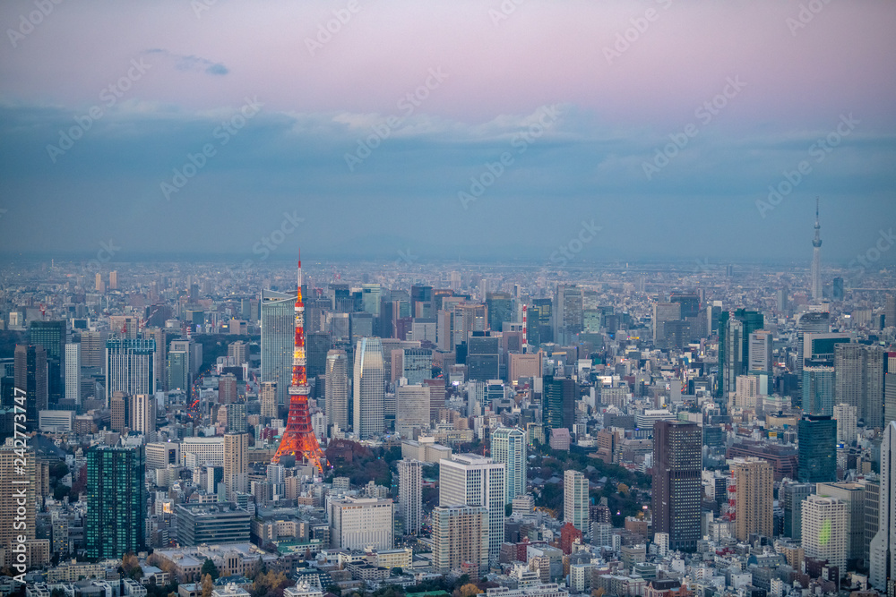 東京タワーと東京スカイツリーの空撮