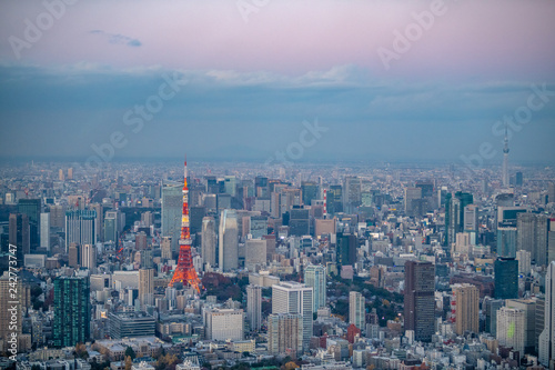 東京タワーと東京スカイツリーの空撮