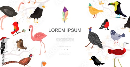 Flat Birds Colorful Concept