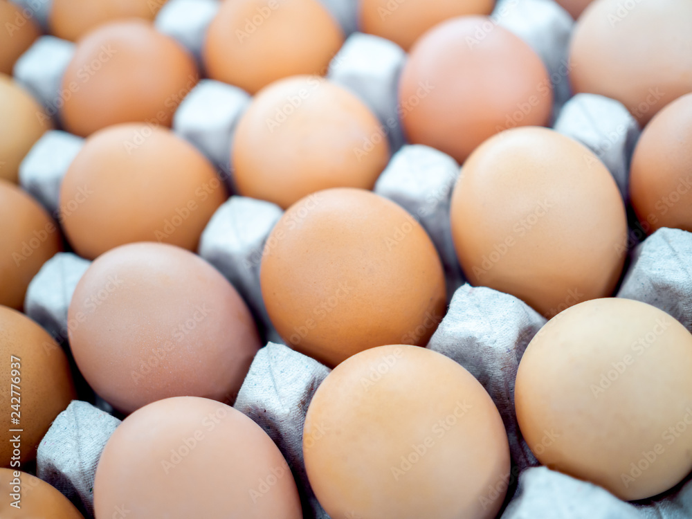 Close-up view of raw chicken eggs in egg box.