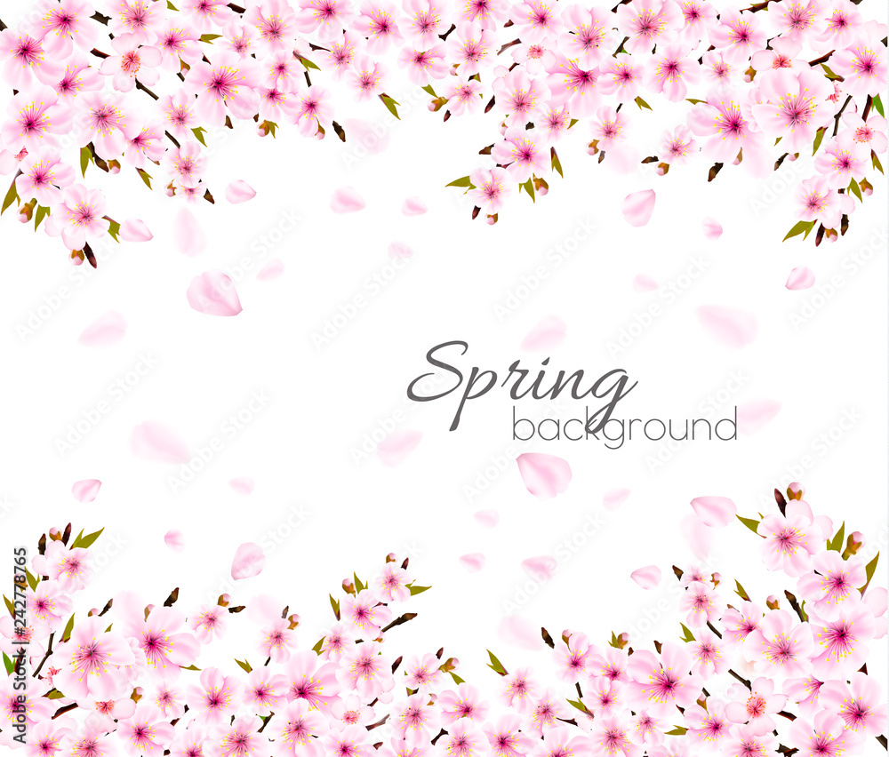 Fototapeta premium Spring nature background with Sakura japan cherry branch. Vector