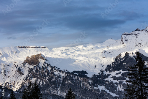 Winter and Snow in Jungrau, Switzerland photo