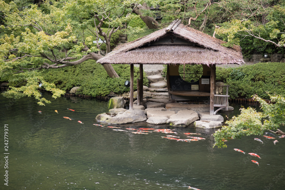 Naklejka premium 日本庭園