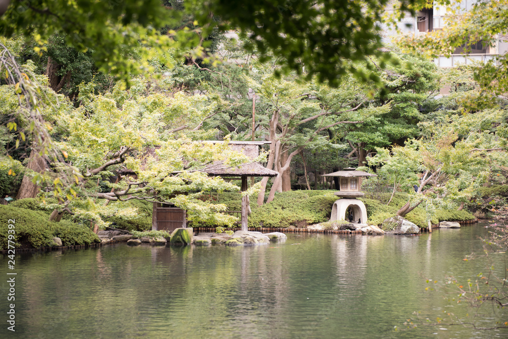 Naklejka premium 日本庭園